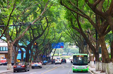 加快262公里轨道项目建设、优化公交线路不少于40条……今年重庆公共交通有这些变化
